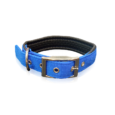 3042-pet-interest-dog-collar-blue-PETSHUG