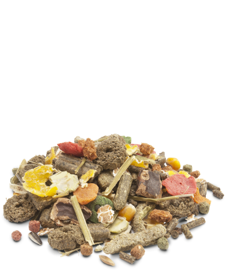 5410340617007food