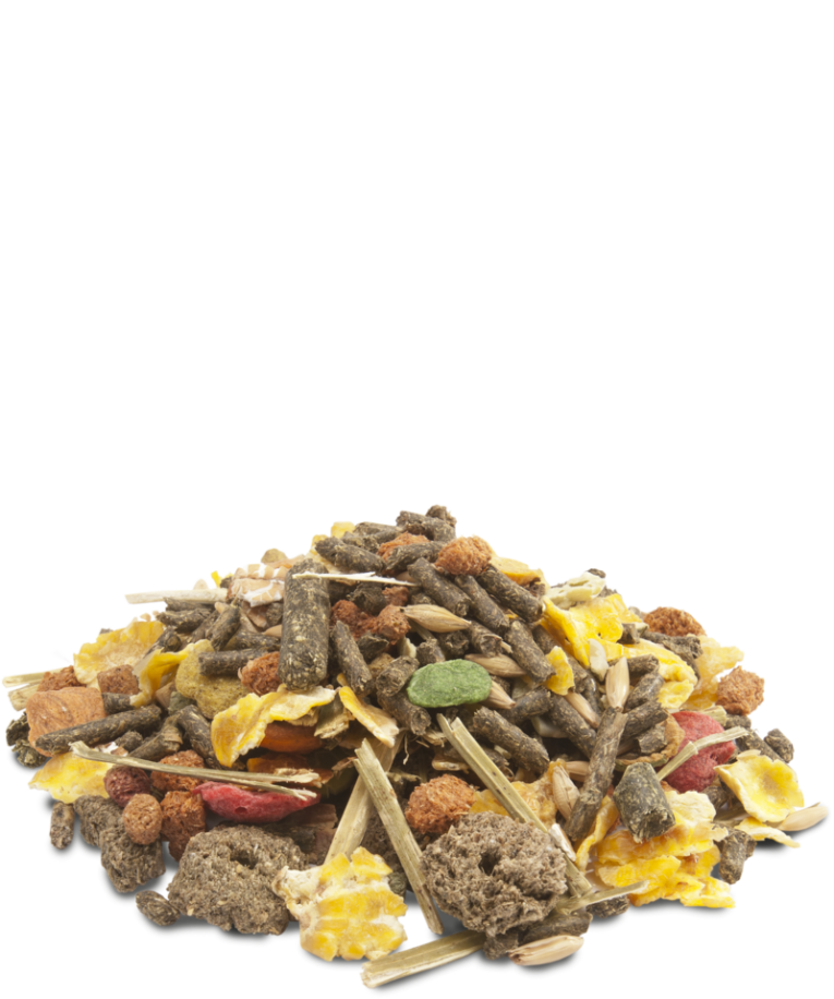 5410340617106food