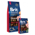 BPbN_dry_adult_l