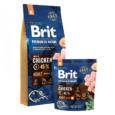 BPbN_dry_adult_m