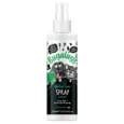 Dental-Spray-Front