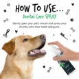 Dental-Spray-How-To-Use
