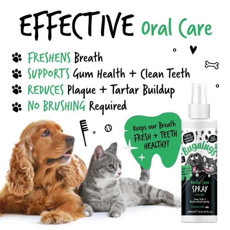 Dental-Spray-Key-Points