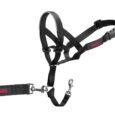 Halti Dog Head Collar 2