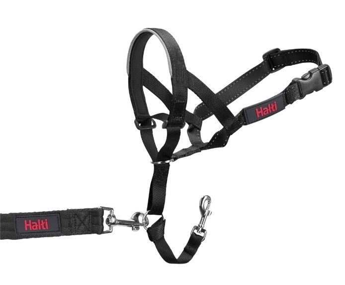 Halti Dog Head Collar 2