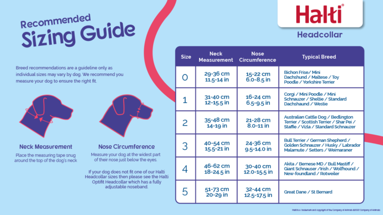Halti_Headcollar_Size_Guide_1100-x-620pxupdate-Mar-22