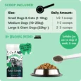 How_to_use_Bugalugs_Plaque_Remover