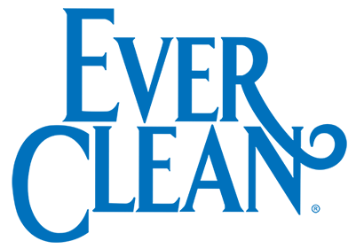 ever-clean_logo-7c229f3e