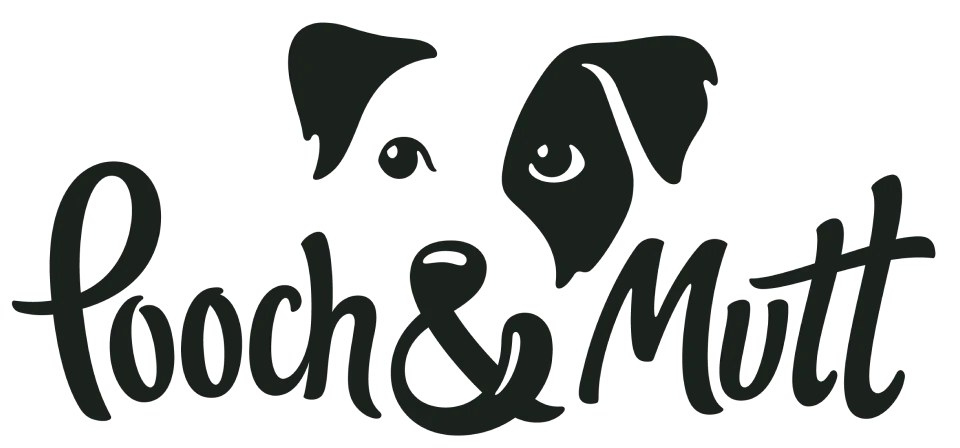 logo-x8