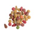 verselelagalarasalmonadultcatdryfood-2kg-2