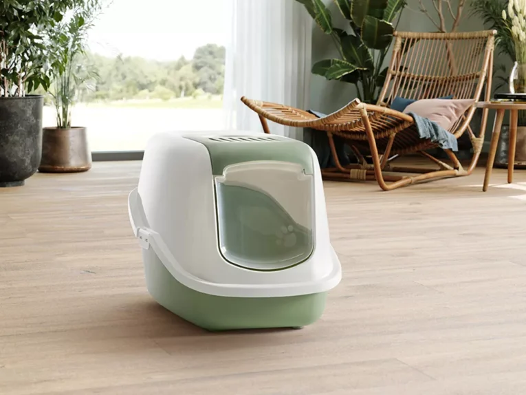 0227 0WLF Nestor white-botanical green interior.jpg